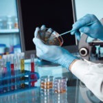 pCURE: Targeting plasmids to reduce the burden of antibiotic resistance