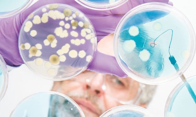 Bacteriophage therapy: current hurdles to successful drug development