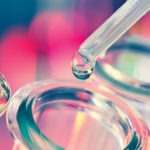 Antibiotics from nature: traditional medicine as a source of new solutions for combating antimicrobial resistance