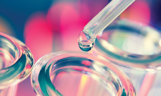 Antibiotics from nature: traditional medicine as a source of new solutions for combating antimicrobial resistance
