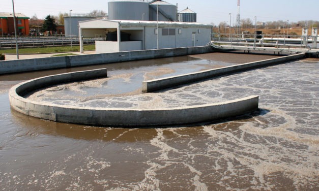 Antibiotics and resistance genes in wastewater treatment plants