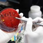 The Global AMR R&D Hub – Enhancing the international coordination of antimicrobial resistance research and development